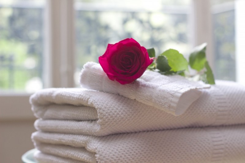 chambre-hote-BONSON-min_towel_rose_clean_care_salon_spa_white_bath-731641